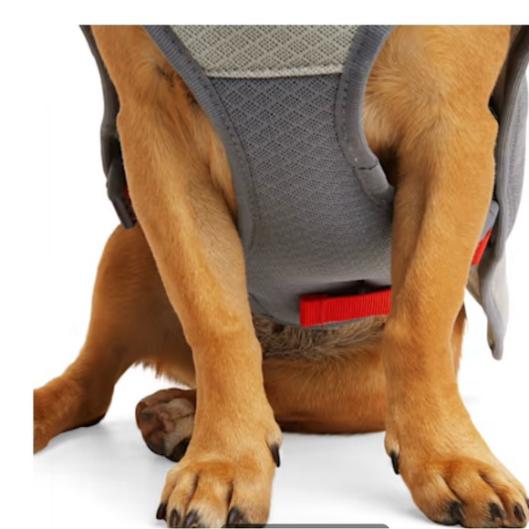 NWT, Reddy dog vest, M 18 - 21 inches, Grey/ Red - Picture 10 of 11